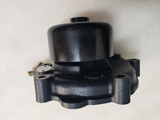 60016107 Wasserpumpenbaugruppe D20-000-30 S00016322+03 Original-Ersatzteile